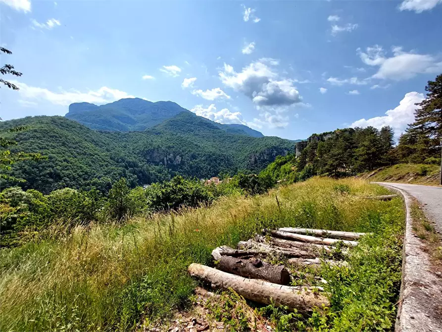 Immagine 1 di Terreno agricolo in vendita  in Via Castello a Ormea