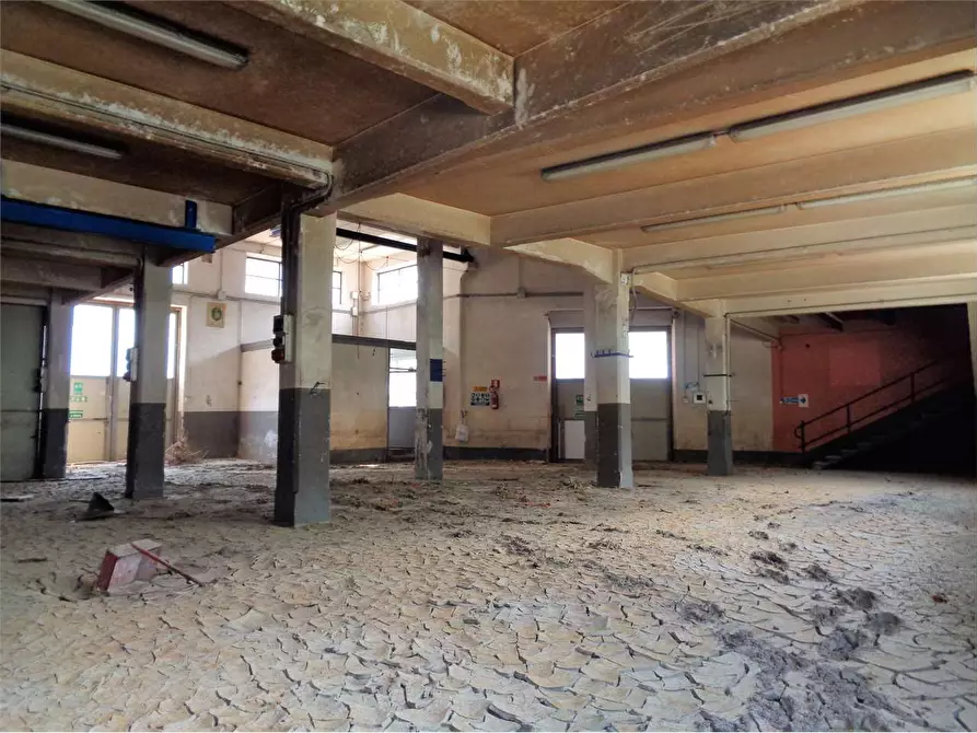 Immagine 8 di Capannone industriale in vendita  in Viale Piaggio a Ormea