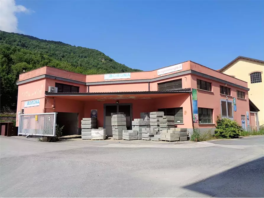Immagine 2 di Capannone industriale in vendita  in Viale Piaggio a Ormea