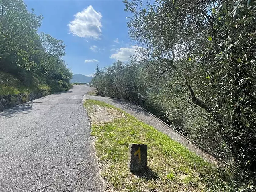 Immagine 4 di Rustico / casale in vendita  in Località Ligassorio a Pieve Di Teco