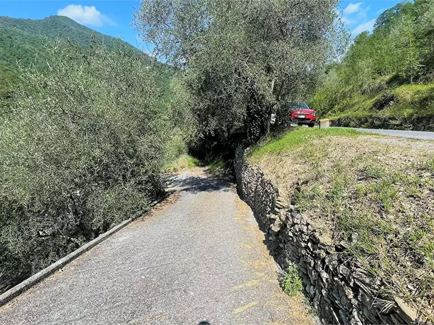 Immagine 5 di Rustico / casale in vendita  in Località Ligassorio a Pieve Di Teco