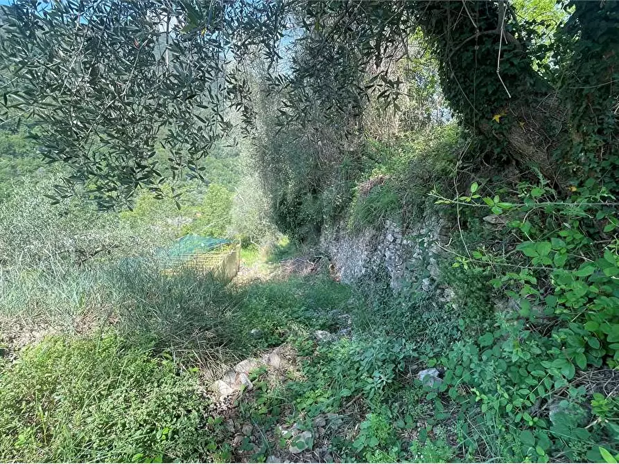 Immagine 7 di Rustico / casale in vendita  in Località Ligassorio a Pieve Di Teco