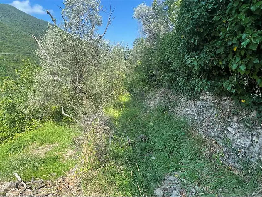 Immagine 8 di Rustico / casale in vendita  in Località Ligassorio a Pieve Di Teco