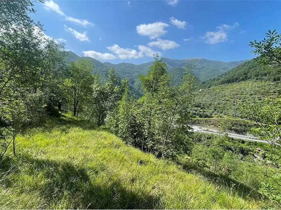 Immagine 1 di Rustico / casale in vendita  in Località Ligassorio a Pieve Di Teco