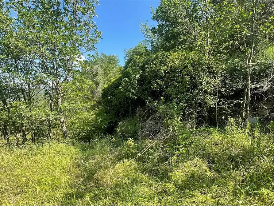 Immagine 9 di Rustico / casale in vendita  in Località Ligassorio a Pieve Di Teco