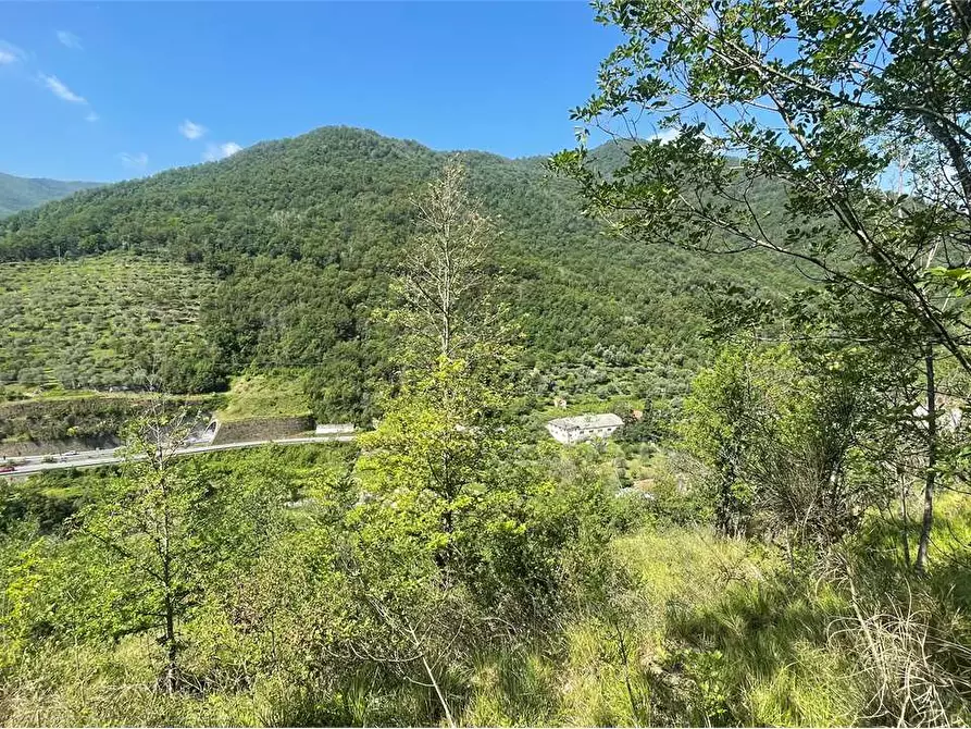 Immagine 3 di Rustico / casale in vendita  in Località Ligassorio a Pieve Di Teco