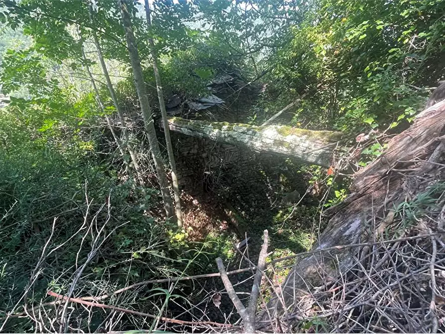 Immagine 13 di Rustico / casale in vendita  in Località Ligassorio a Pieve Di Teco