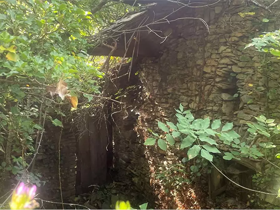 Immagine 10 di Rustico / casale in vendita  in Località Ligassorio a Pieve Di Teco