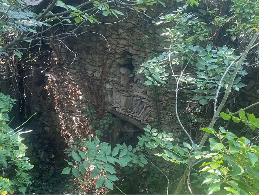 Immagine 11 di Rustico / casale in vendita  in Località Ligassorio a Pieve Di Teco