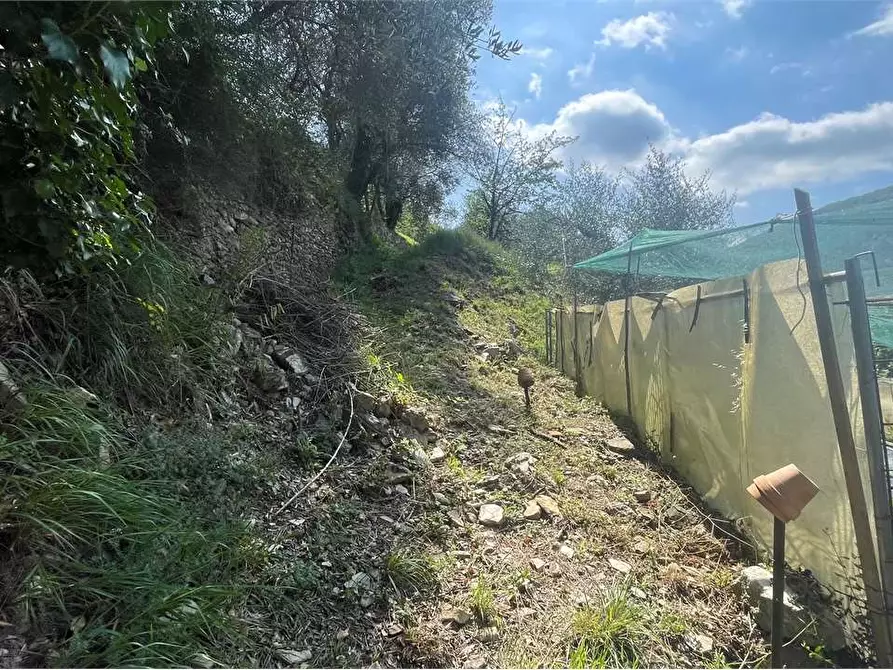 Immagine 6 di Rustico / casale in vendita  in Località Ligassorio a Pieve Di Teco