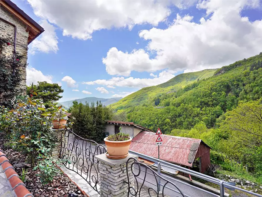 Immagine 12 di Villa in vendita  in Via Montegrappa 5 a Armo