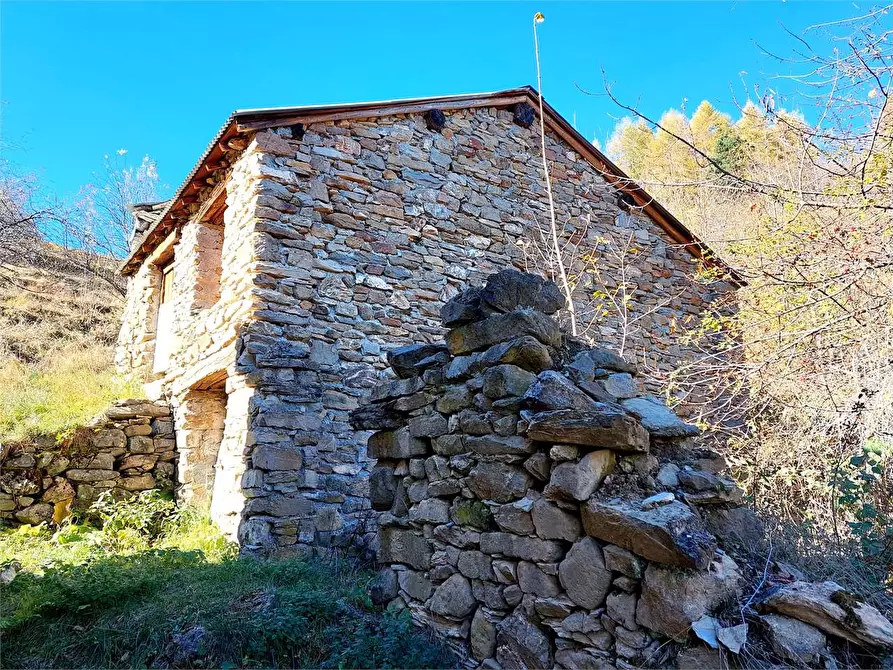 Immagine 4 di Rustico / casale in vendita  in Località Pigheugia a Mendatica