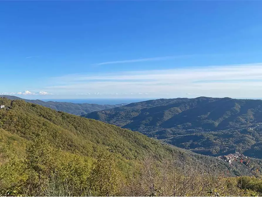 Immagine 1 di Rustico / casale in vendita  in Località Guardiabella a Aurigo