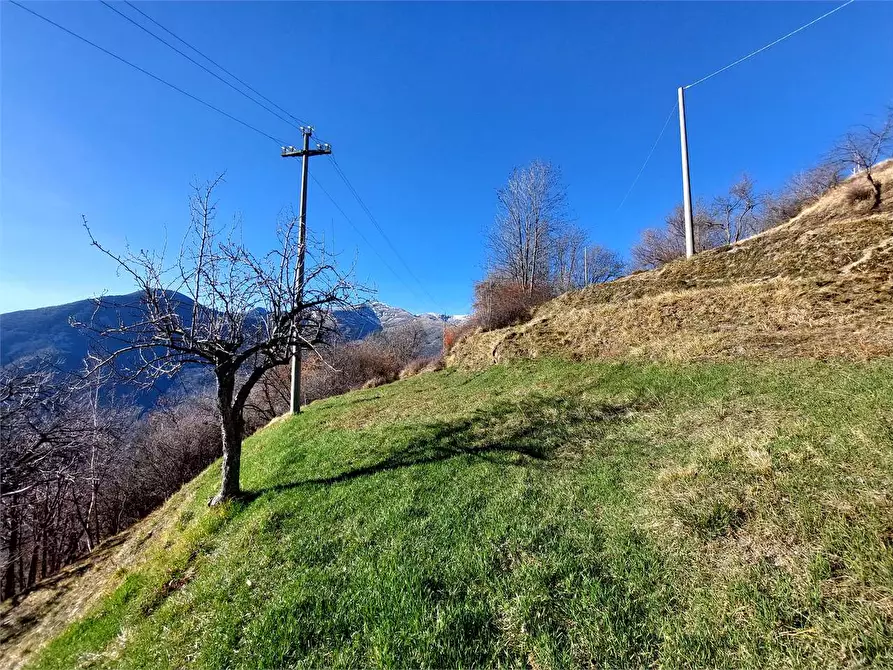 Immagine 29 di Rustico / casale in vendita  in Località Calcagnea a Ormea