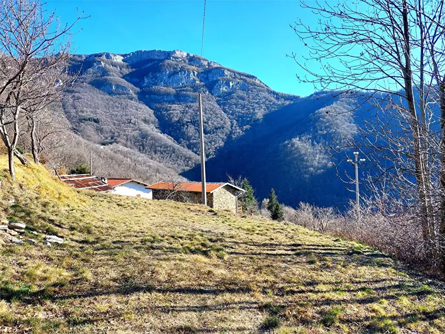 Immagine 33 di Rustico / casale in vendita  in Località Calcagnea a Ormea