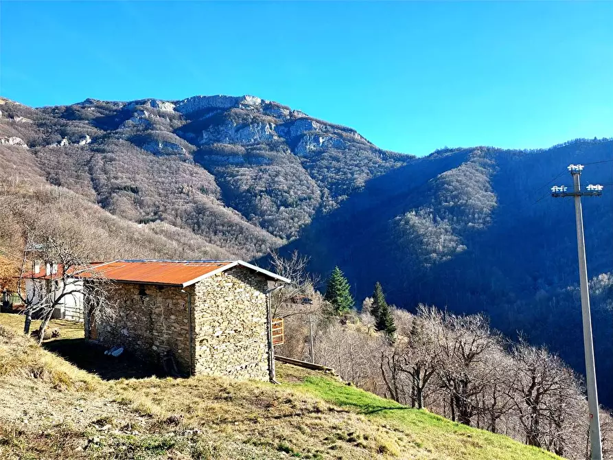 Immagine 4 di Rustico / casale in vendita  in Località Calcagnea a Ormea