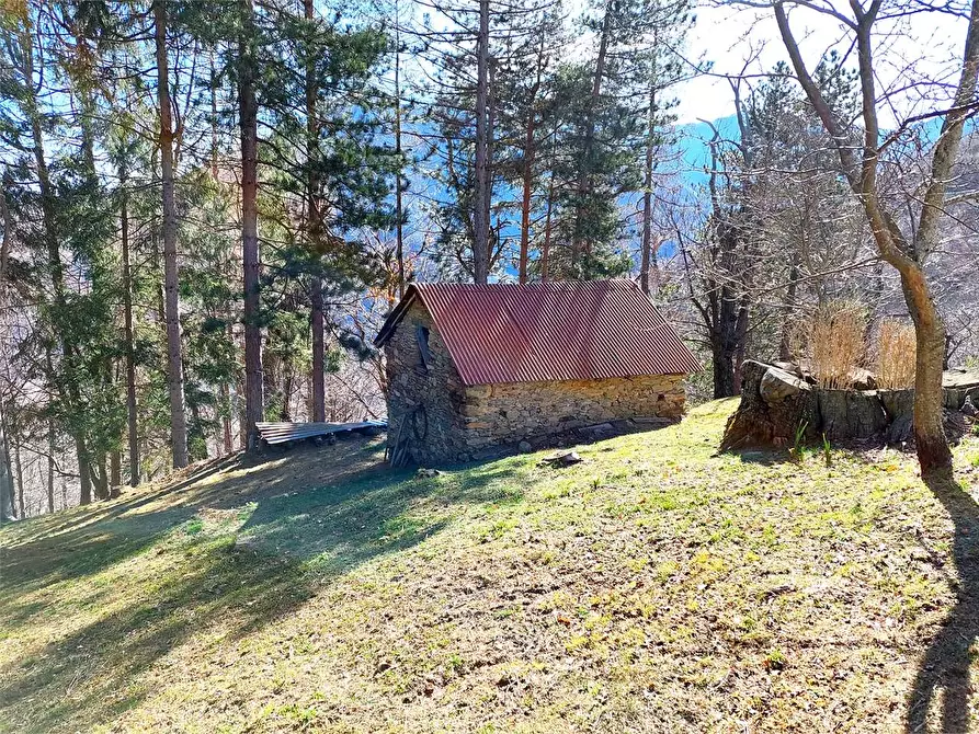 Immagine 39 di Rustico / casale in vendita  in Frazione Piambernardo a Garessio