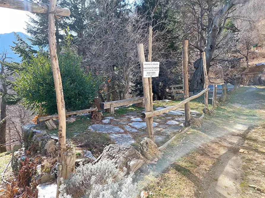 Immagine 37 di Rustico / casale in vendita  in Frazione Piambernardo a Garessio
