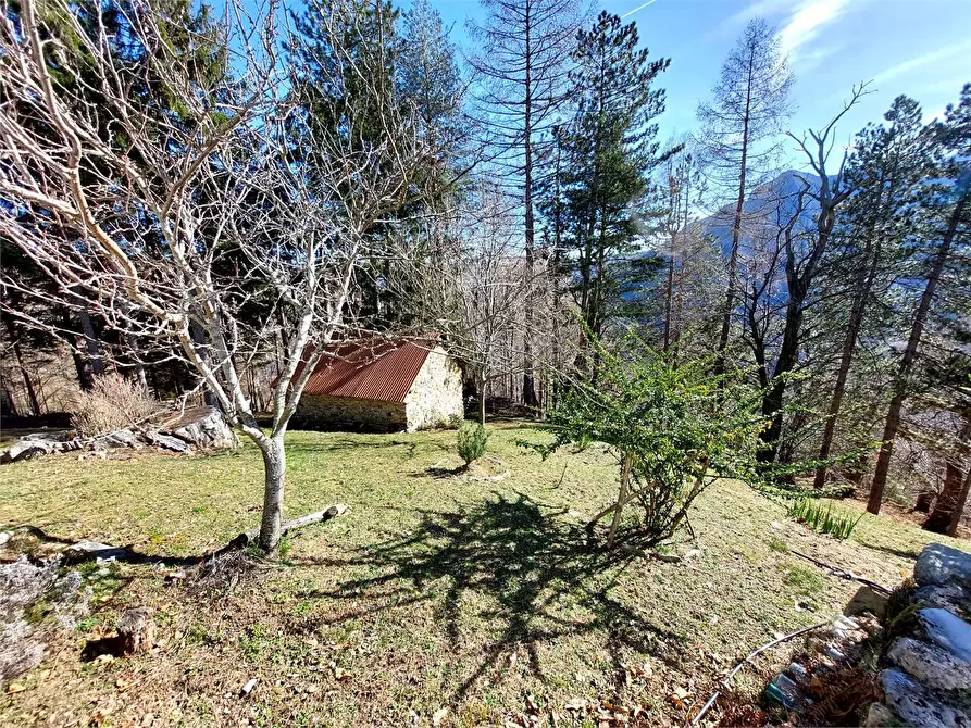 Immagine 40 di Rustico / casale in vendita  in Frazione Piambernardo a Garessio