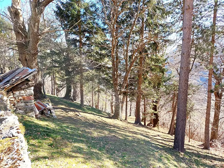 Immagine 45 di Rustico / casale in vendita  in Frazione Piambernardo a Garessio