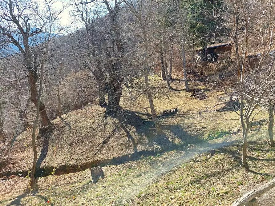 Immagine 46 di Rustico / casale in vendita  in Frazione Piambernardo a Garessio