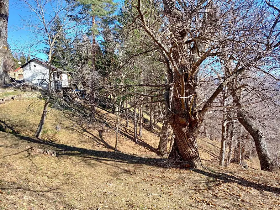 Immagine 47 di Rustico / casale in vendita  in Frazione Piambernardo a Garessio
