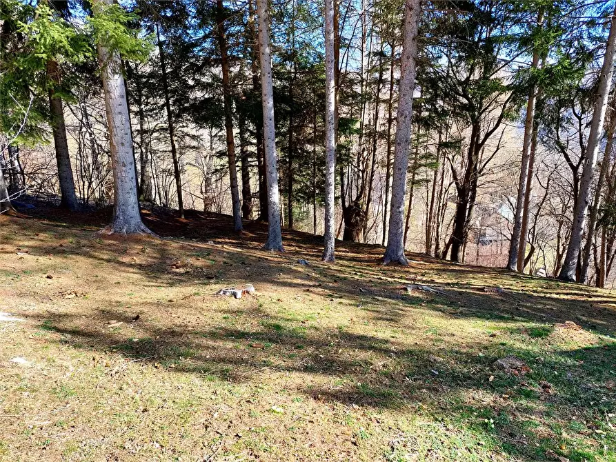 Immagine 51 di Rustico / casale in vendita  in Frazione Piambernardo a Garessio