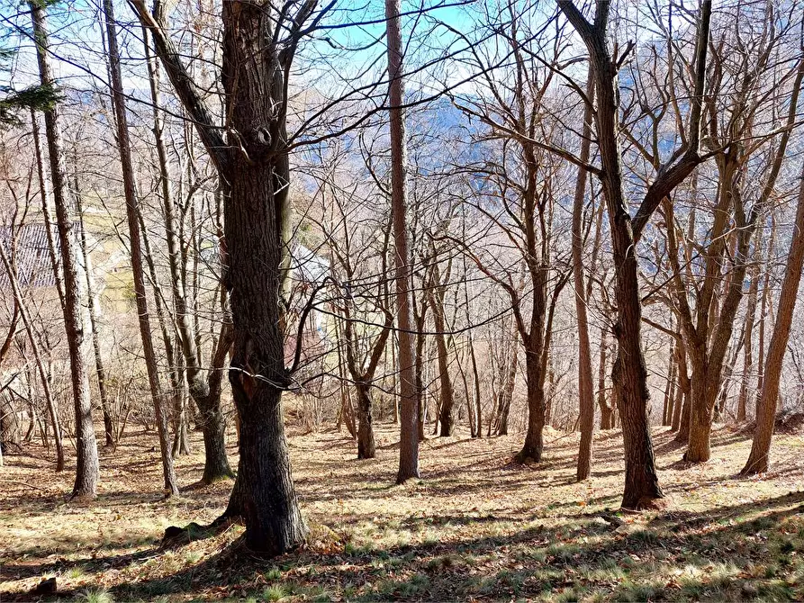 Immagine 48 di Rustico / casale in vendita  in Frazione Piambernardo a Garessio