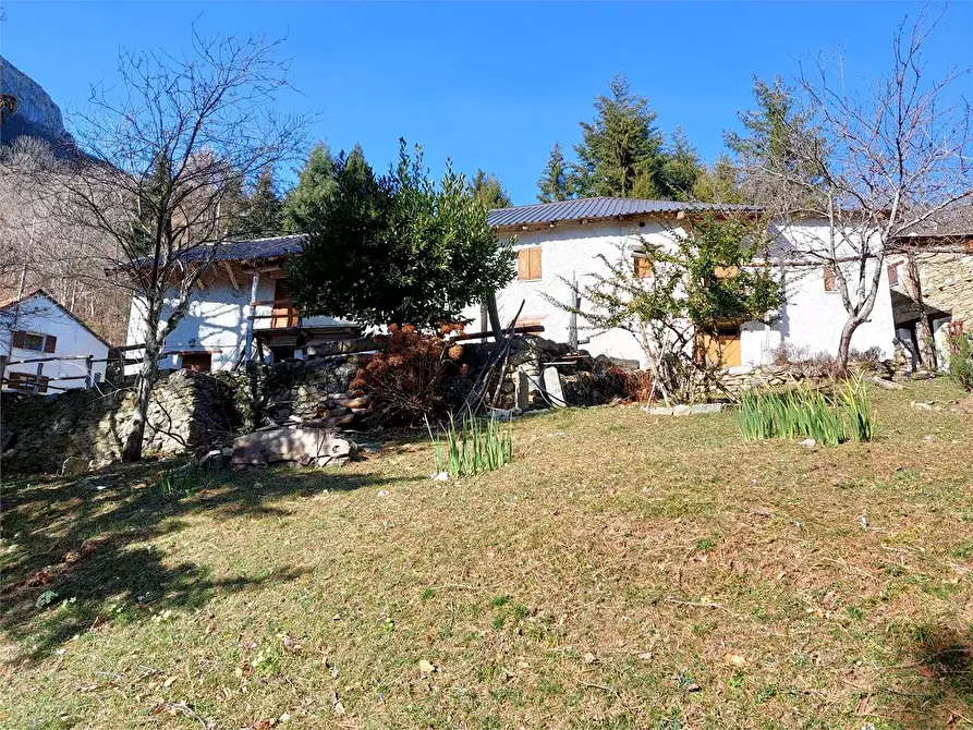 Immagine 49 di Rustico / casale in vendita  in Frazione Piambernardo a Garessio