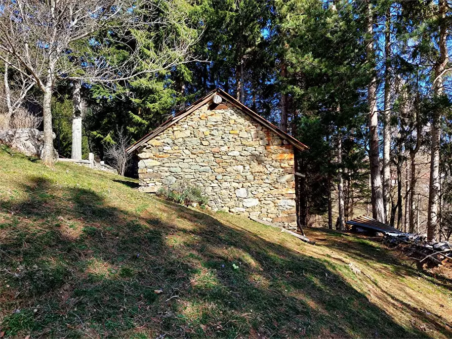 Immagine 43 di Rustico / casale in vendita  in Frazione Piambernardo a Garessio