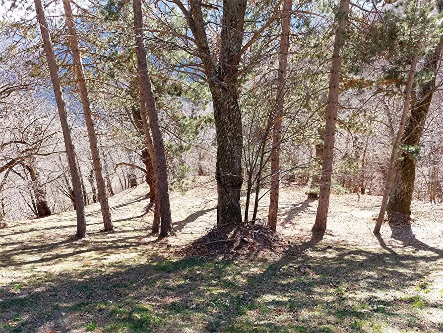 Immagine 49 di Rustico / casale in vendita  in Frazione Piambernardo a Garessio