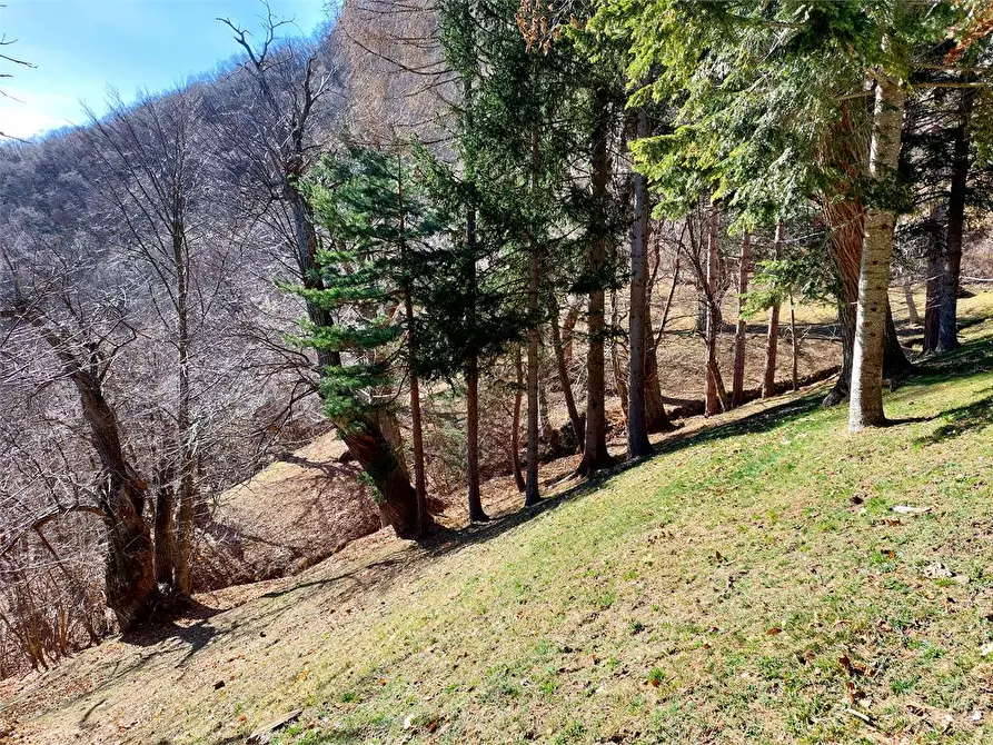 Immagine 50 di Rustico / casale in vendita  in Frazione Piambernardo a Garessio