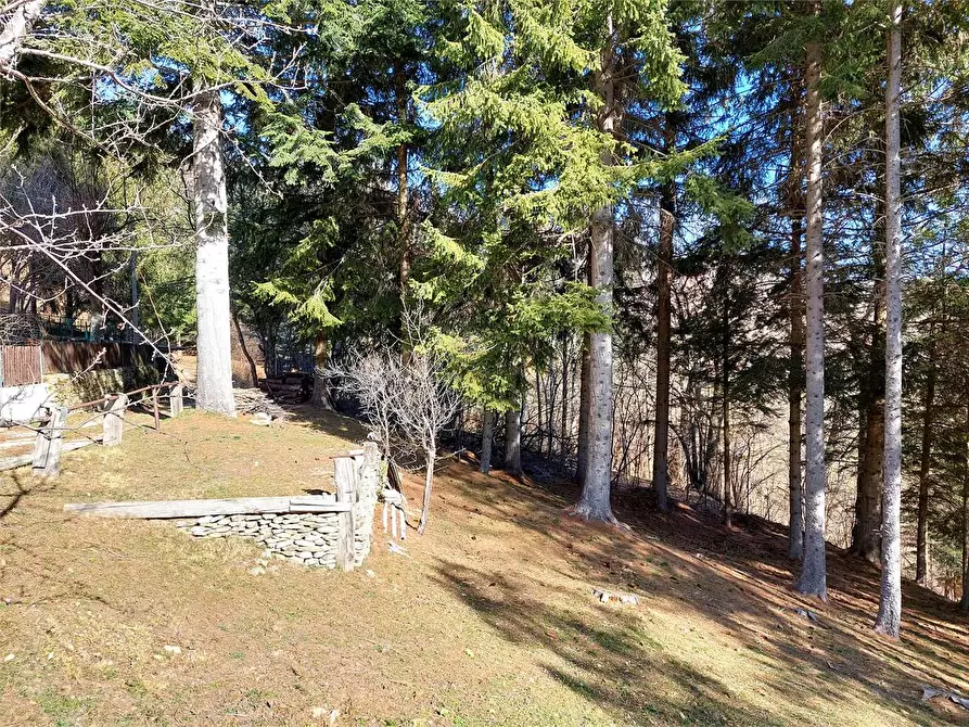 Immagine 44 di Rustico / casale in vendita  in Frazione Piambernardo a Garessio