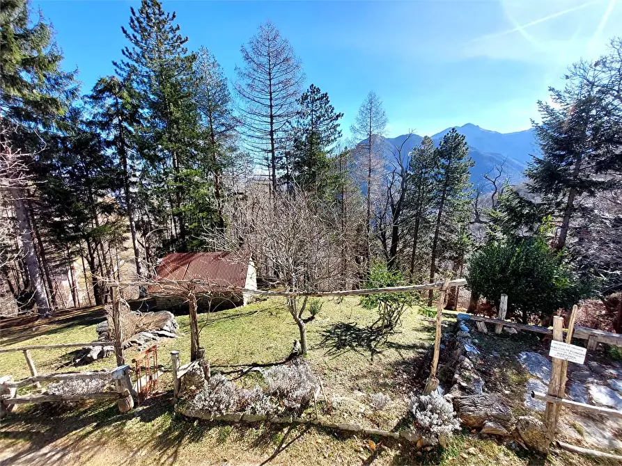Immagine 28 di Rustico / casale in vendita  in Frazione Piambernardo a Garessio
