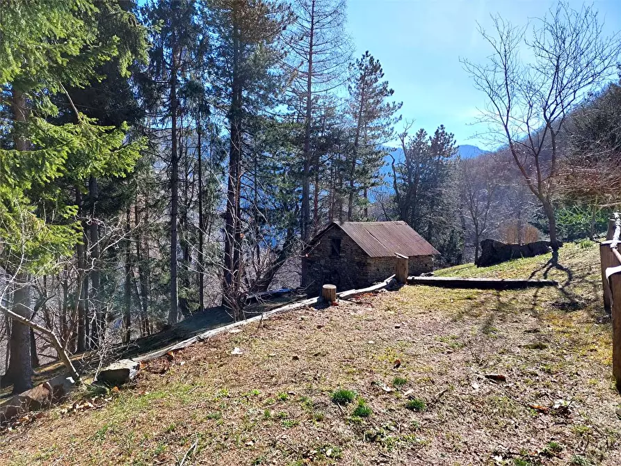 Immagine 41 di Rustico / casale in vendita  in Frazione Piambernardo a Garessio