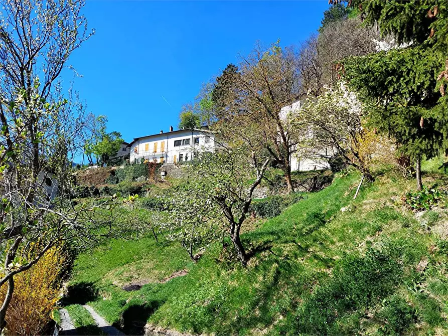 Immagine 1 di Casa indipendente in vendita  in Via Albareto  6 a Ormea