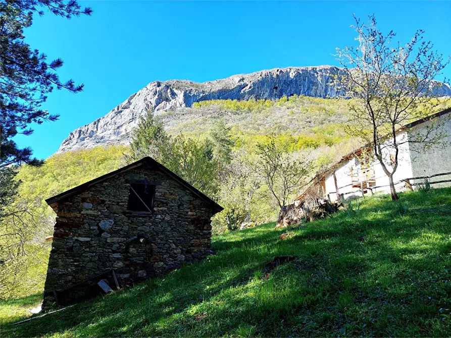 Immagine 38 di Rustico / casale in vendita  in Frazione Piambernardo a Garessio