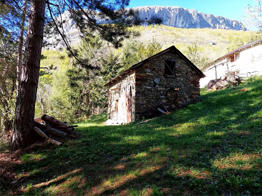Immagine 38 di Rustico / casale in vendita  in Frazione Piambernardo a Garessio