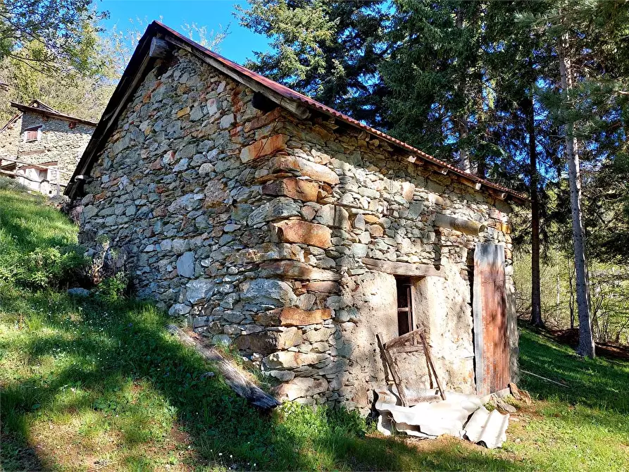 Immagine 39 di Rustico / casale in vendita  in Frazione Piambernardo a Garessio