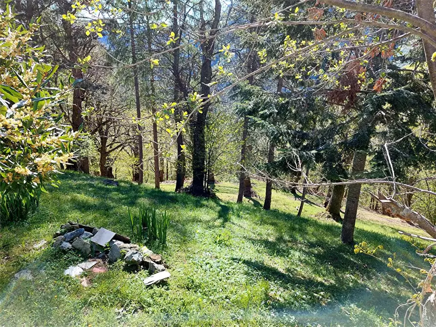 Immagine 41 di Rustico / casale in vendita  in Frazione Piambernardo a Garessio