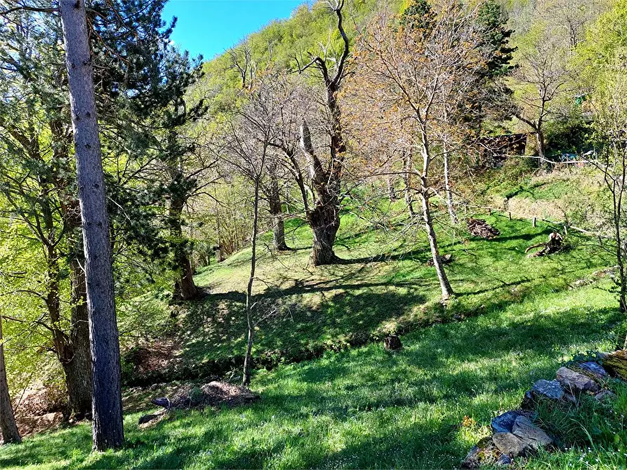 Immagine 42 di Rustico / casale in vendita  in Frazione Piambernardo a Garessio