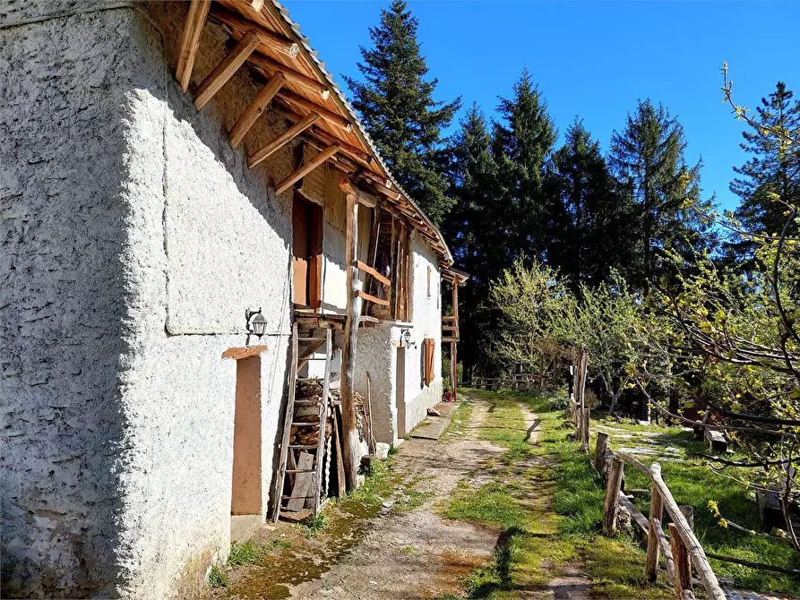 Immagine 6 di Rustico / casale in vendita  in Frazione Piambernardo a Garessio