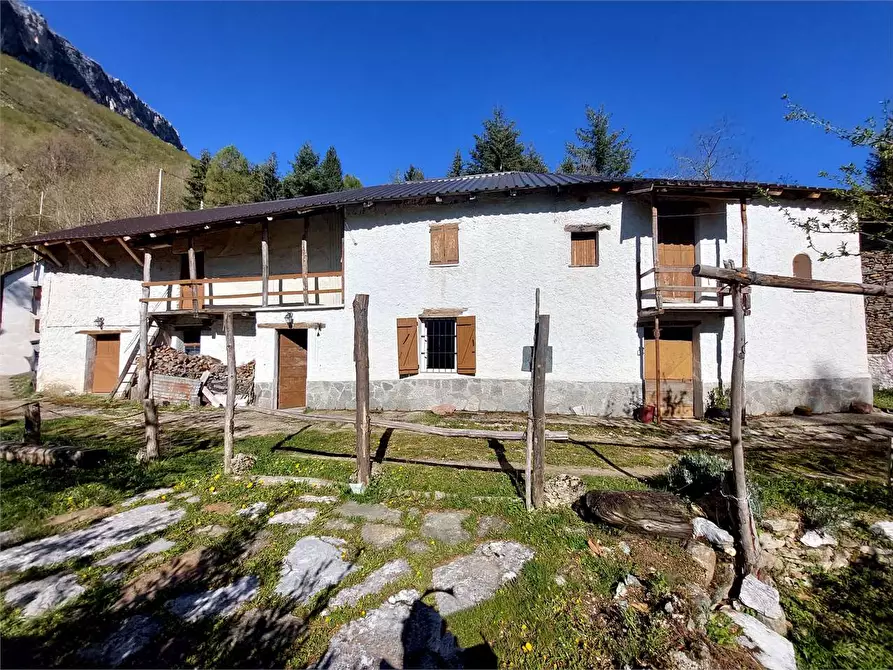 Immagine 3 di Rustico / casale in vendita  in Frazione Piambernardo a Garessio