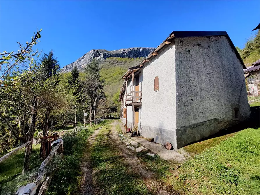 Immagine 2 di Rustico / casale in vendita  in Frazione Piambernardo a Garessio