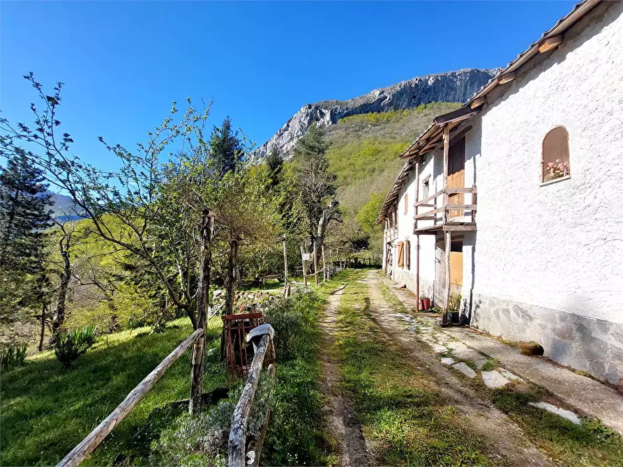 Immagine 8 di Rustico / casale in vendita  in Frazione Piambernardo a Garessio