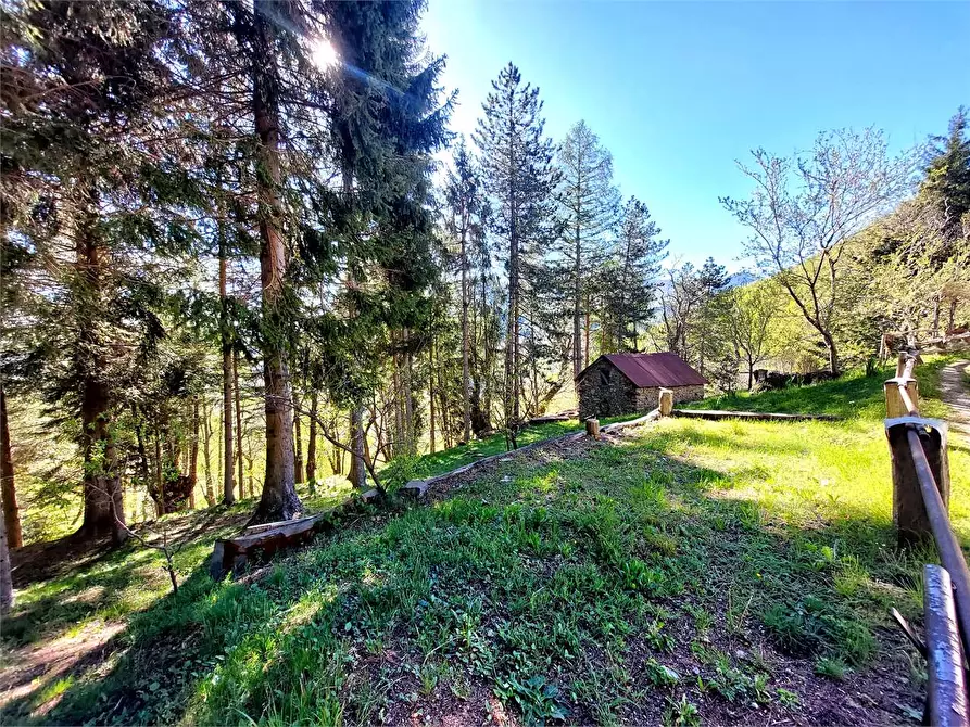 Immagine 42 di Rustico / casale in vendita  in Frazione Piambernardo a Garessio