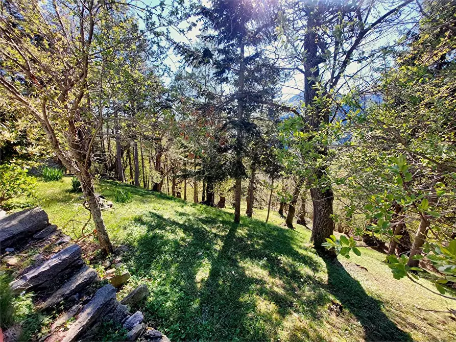 Immagine 45 di Rustico / casale in vendita  in Frazione Piambernardo a Garessio