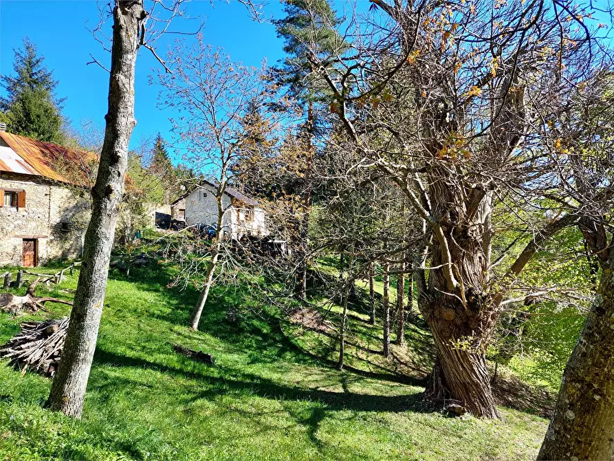 Immagine 3 di Rustico / casale in vendita  in Frazione Piambernardo a Garessio
