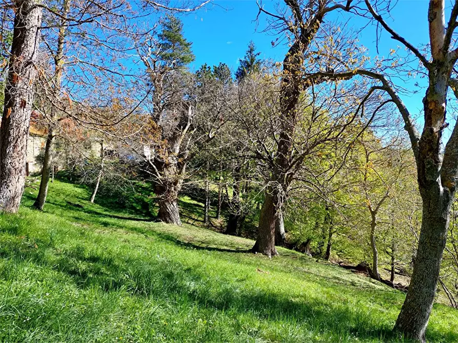 Immagine 43 di Rustico / casale in vendita  in Frazione Piambernardo a Garessio