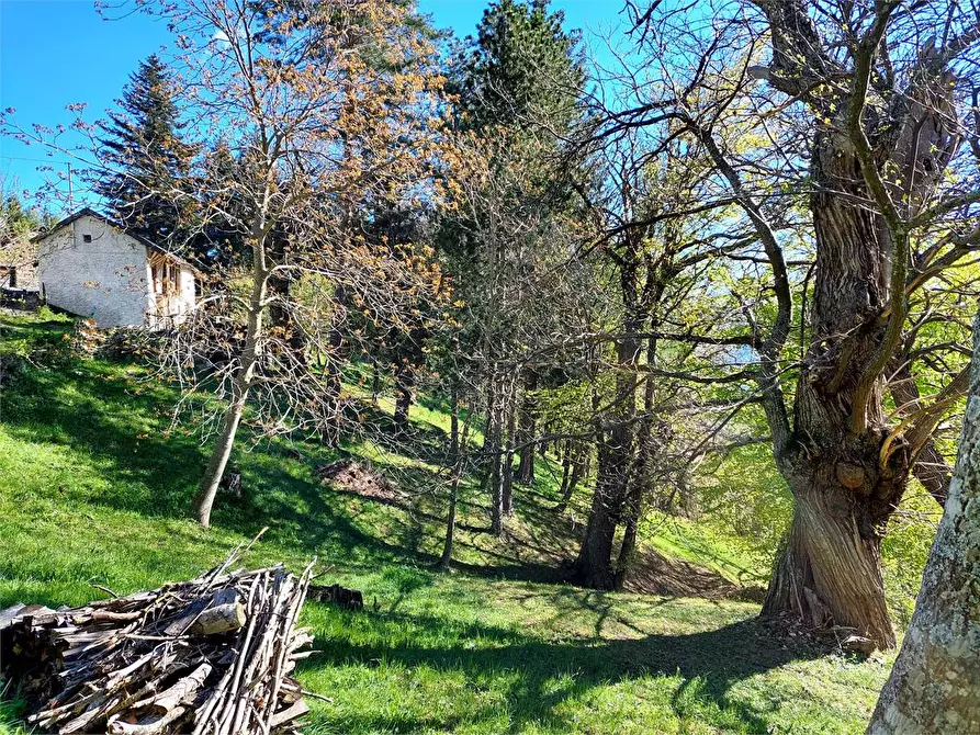 Immagine 4 di Rustico / casale in vendita  in Frazione Piambernardo a Garessio